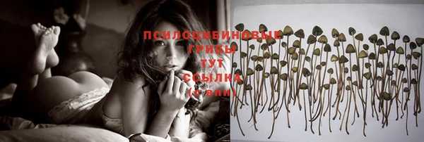 синтетический гашиш Армянск