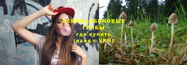 a pvp Аркадак