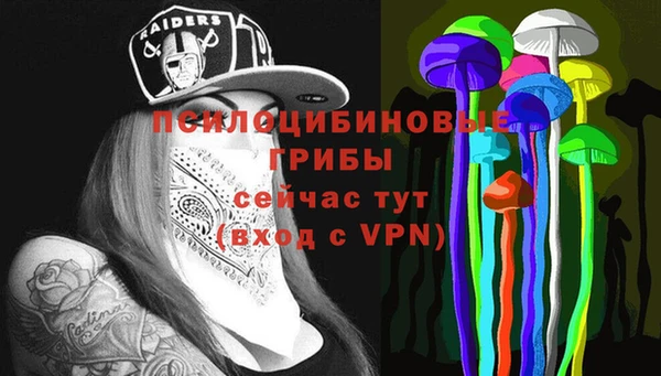 не бодяженный Алексин